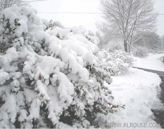 Abingdon, Va Snowfall