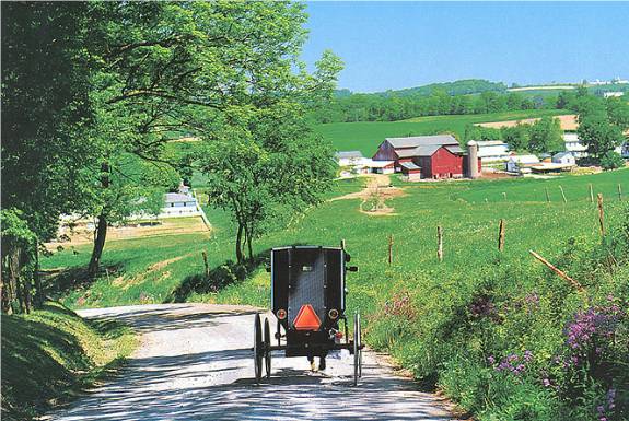 Amish buggy near Berlin, OH