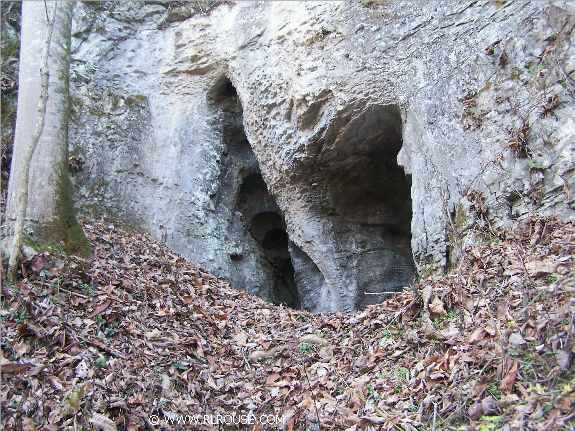 Wild caves near DeBusk Mill.
