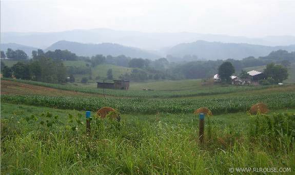 A foggy mountain view from Lodi, Va