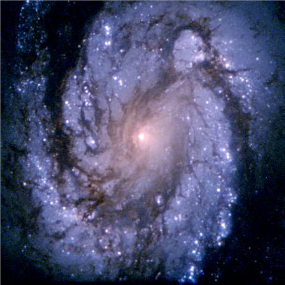 The M100 Spiral Galaxy