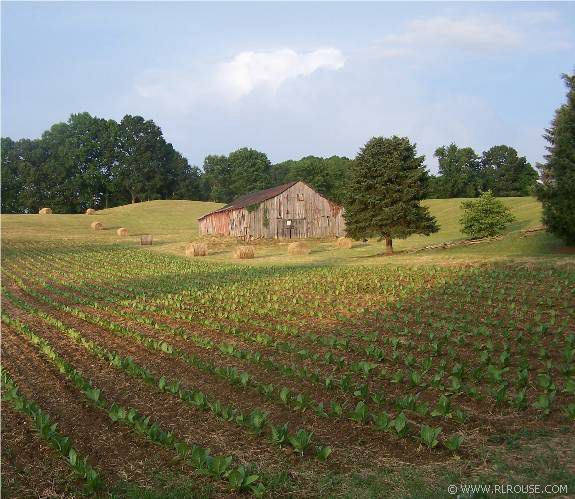 A farm in Abingdon, Virginia