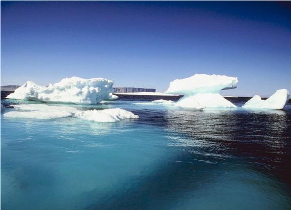 Icebergs floating out to sea in the arctic.