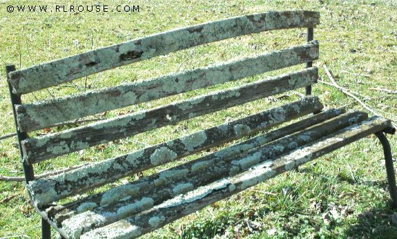 Dad's Bench