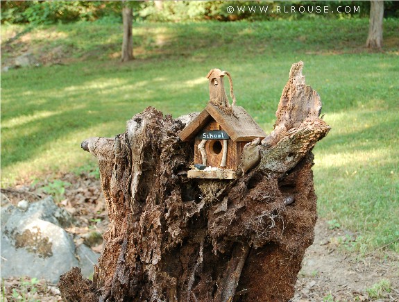 Birdhouse sitting on a decaying tree stump.