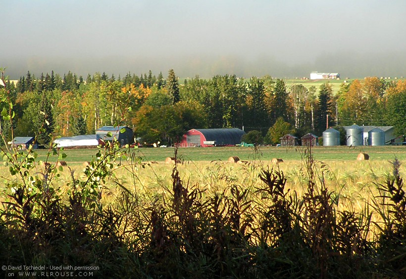 A farm in the Tomslake area of British Columbia.