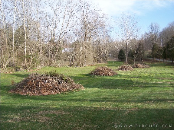 Brush Piles