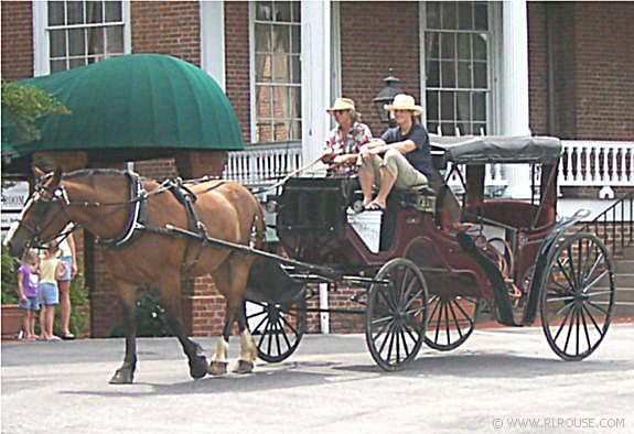 Horse & Carriage at the Martha Washington Inn