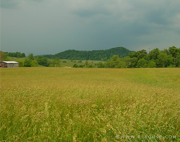 Hayfield