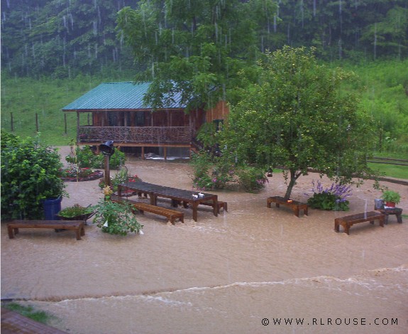 Flash flooding in Helen's back yard.