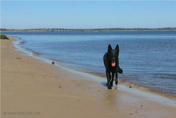 On the beach - Georgetown, SC