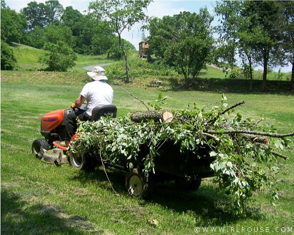 Hauling brush to the brush pile.