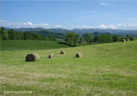 Southwest Virginia Hay Field