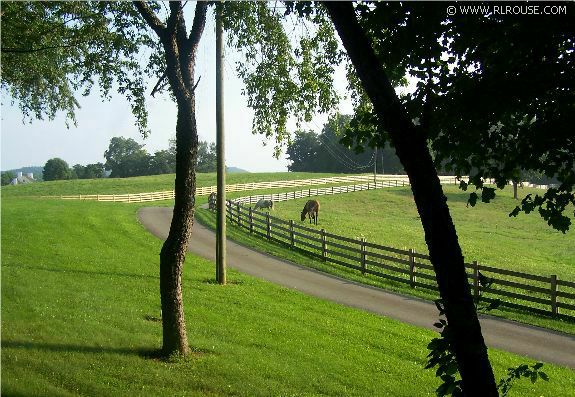 A horse farm beside the Virginia Creeper Trail