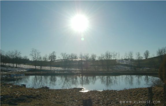 A Lodi, Va farm pond.