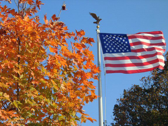 Dad's Maple Tree & Flag