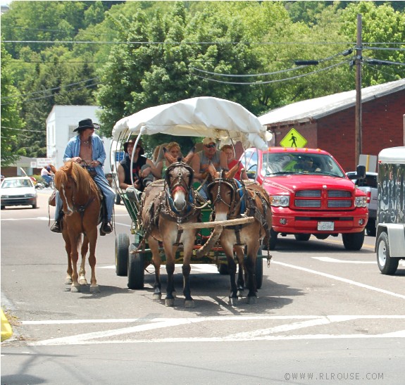 A mule-drawn wagon.
