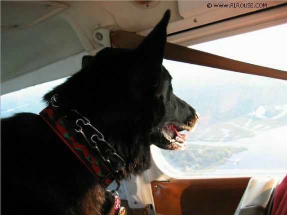 Sage's first ride in an airplane.