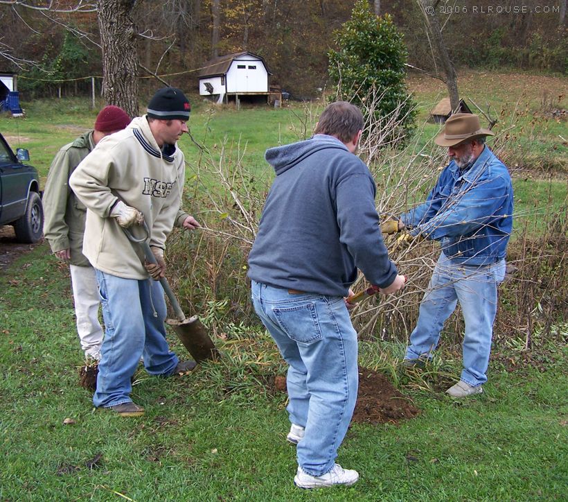 Yardwork at Mom's place.